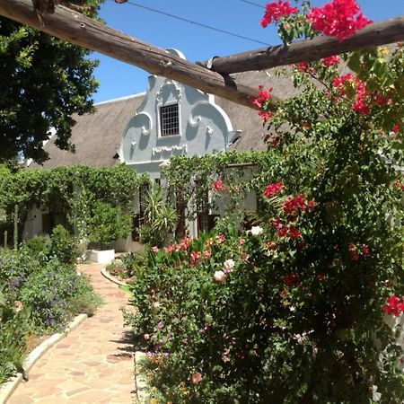 Wittedrift Manor House Ξενοδοχείο Tulbagh Εξωτερικό φωτογραφία